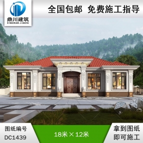 大氣歐式一層別墅設計圖紙及效果圖_農(nóng)村自建房設計,鼎川建筑