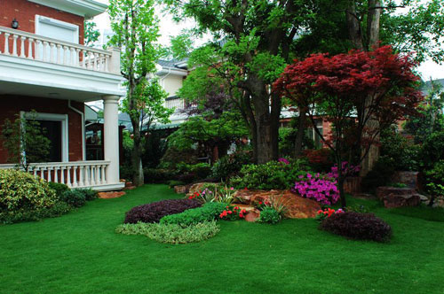 別墅植物花卉選擇禁忌與注意事項(xiàng)