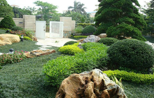 別墅庭院植物種植風水知識