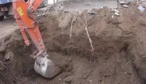 【案例】北京自建帶花園的中式別墅，精致豪華人人羨！