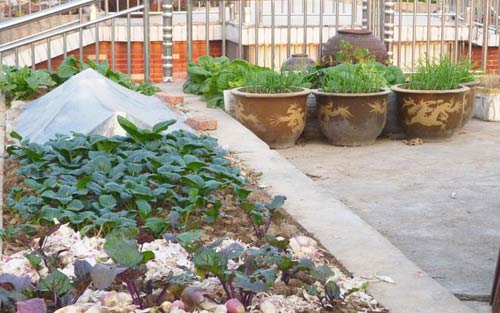 農村自建房屋頂怎么做隔熱