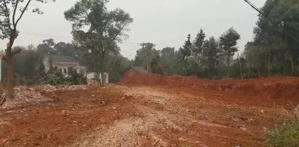 將近九十萬的舊房改造工程，你覺得值嗎?